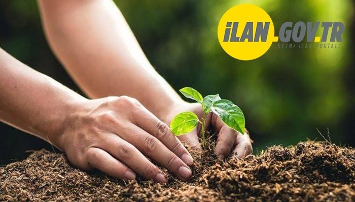 FİDAN BAKIMI HİZMETİ ALINACAK