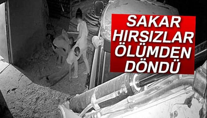 Sakar hırsızlar ölümden döndü