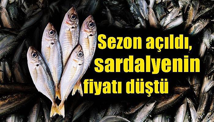 Sezon açıldı, sardalyenin fiyatı düştü
