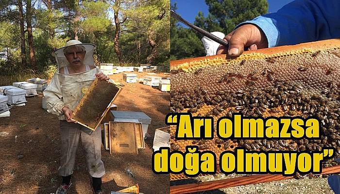 “Arı olmazsa doğa olmuyor”
