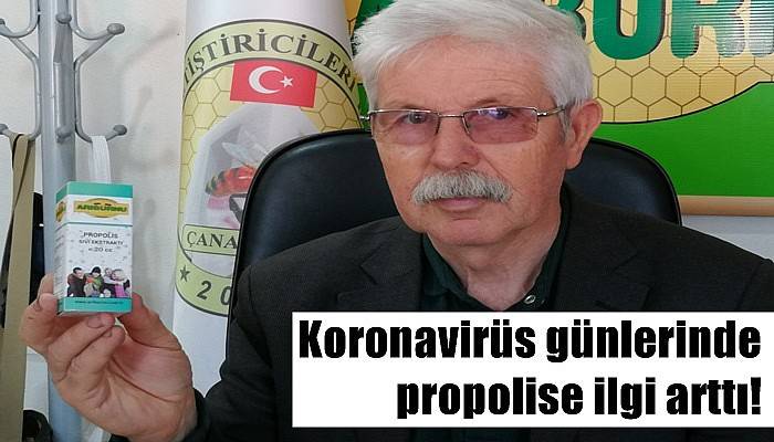 Koronavirüs günlerinde propolise ilgi arttı!