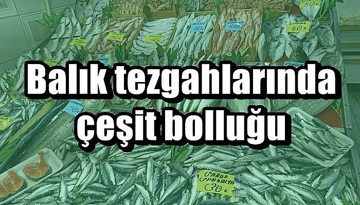 Balık tezgahlarında çeşit bolluğu