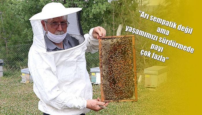 Çanakkale Arı Yetiştiricileri Birliği Başkanı İleri açıkladı! (VİDEO)