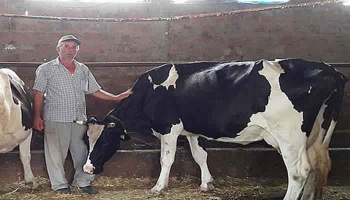 154 aileye 2 milyon TL kredi dağıtıldı