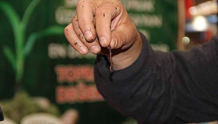 Tarımın geleceği solucanlara bağlı