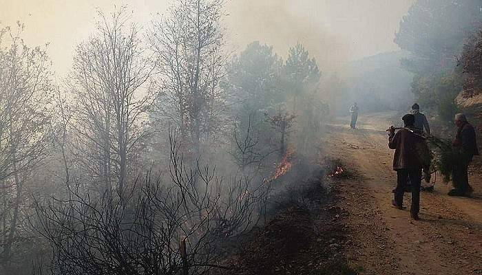 Yenice’de orman yangını