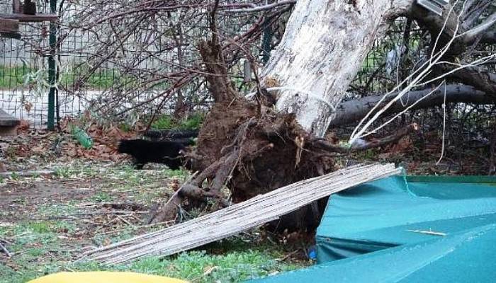ÇANAKKALE'DE LODOS YAŞAMI OLUMSUZ ETKİLEDİ