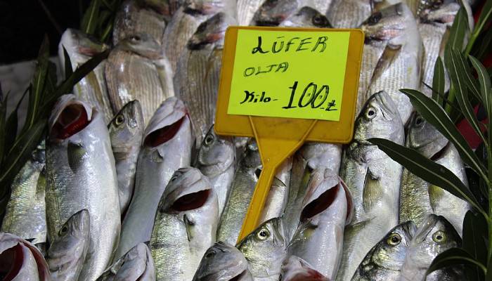 Lüferin kilosu 100 liraya düştü