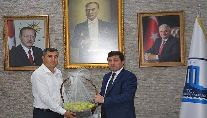 Bayramiç Beyazı Çiftçinin Yüzü Güldürüyor