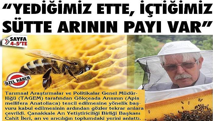 “Yediğimiz ette, içtiğimiz sütte arının payı var”