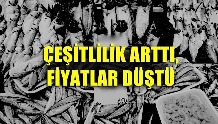 Hamsinin fiyatı düştü, talep arttı!