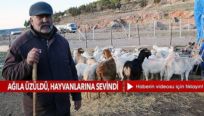 Depremde hayvanlarını kurtardığı için dua ediyor (VİDEO)