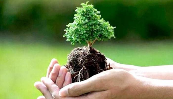 Gökçeada’da 3 bin fidan dikilecek