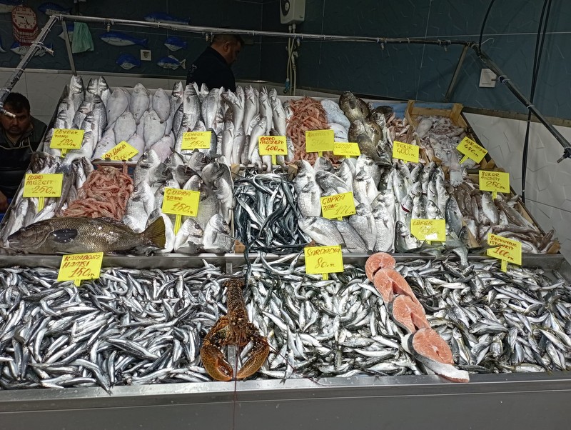 Biga'da günlük balık fiyatları
