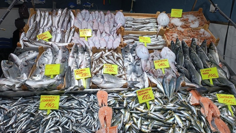 Biga'da balık fiyatları