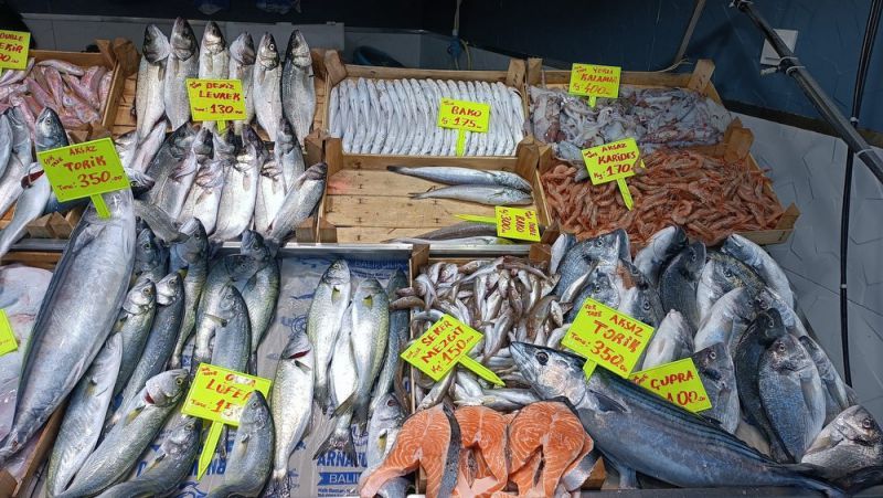 Biga balık halinde günlük balık fiyatları