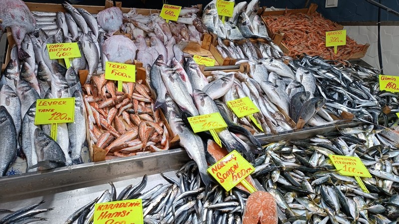 Balık fiyatları ne kadar? İşte en ucuz ve en pahalı balıklar