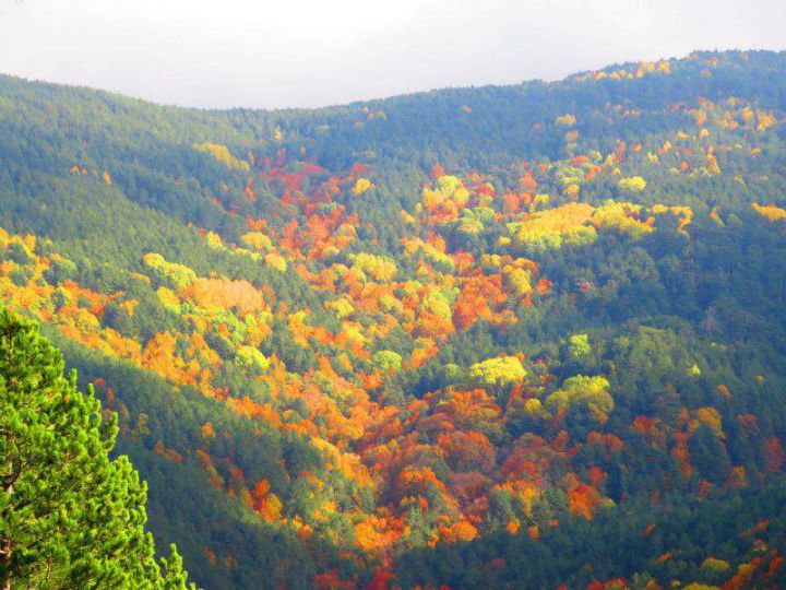 Kaz Dağları sonbaharda rengarenk