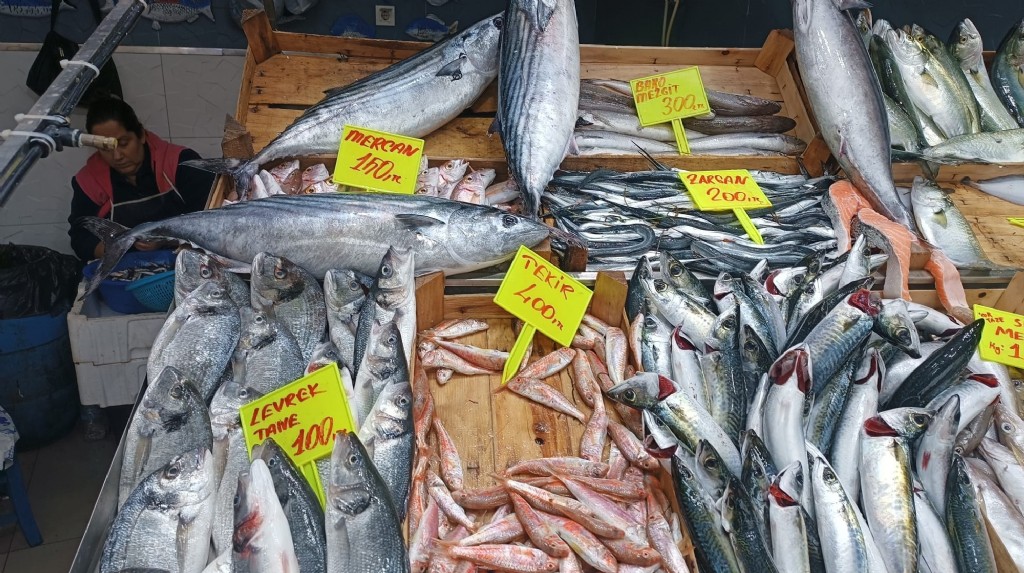 Biga’da Cumartesi balık fiyatları 