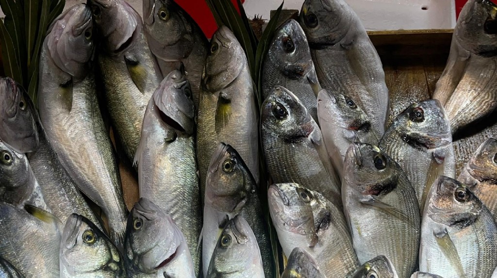 Çanakkale'de balık fiyatlarında son durum