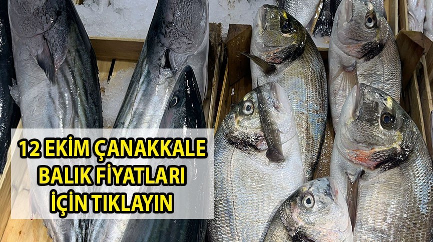 Çanakkale balıkhalinde fiyatlar 