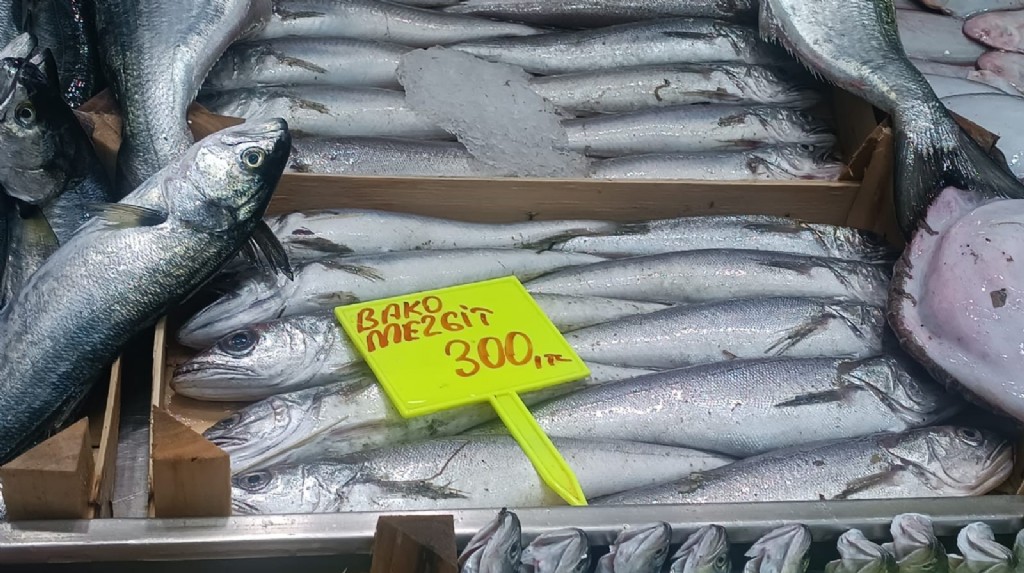 Güncel balık fiyatları ne kadar? 