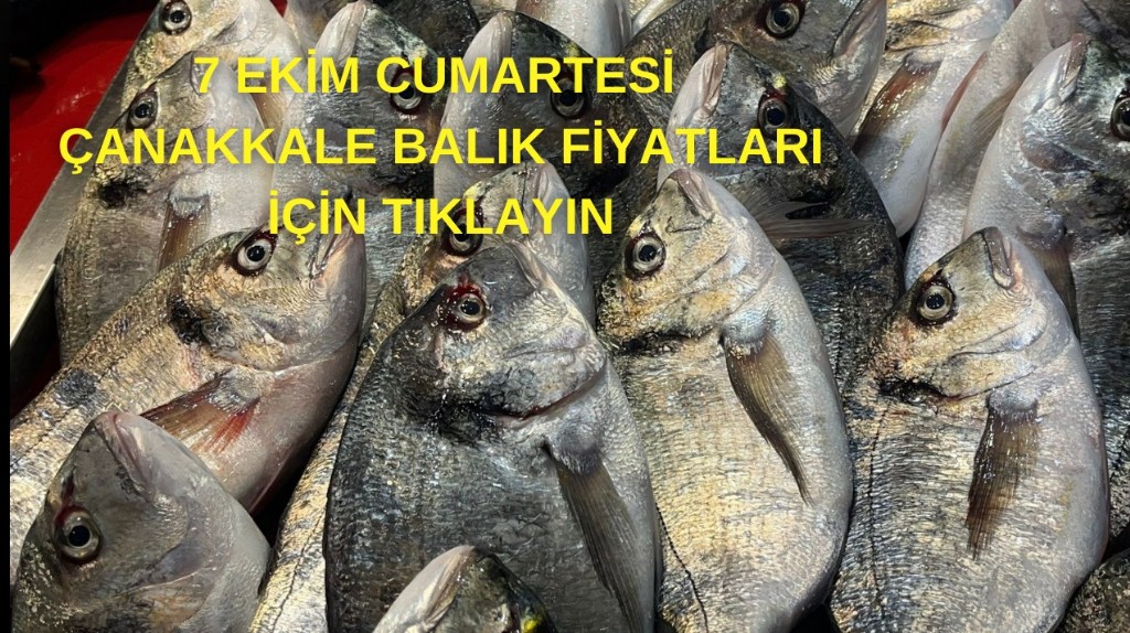 7 Ekim Cumartesi Çanakkale balık fiyatları