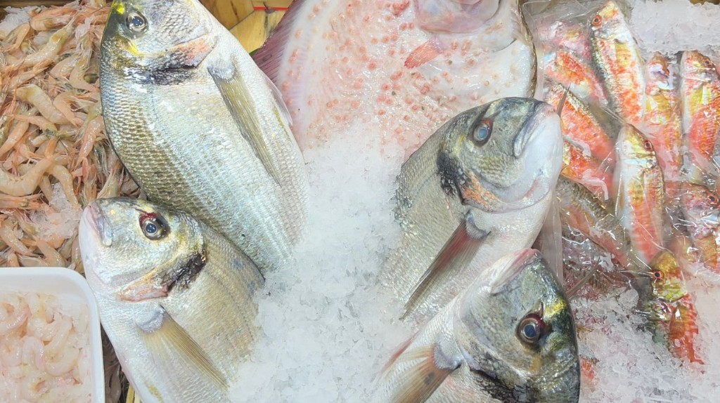 14 Kasım Salı Çanakkale balık fiyatları
