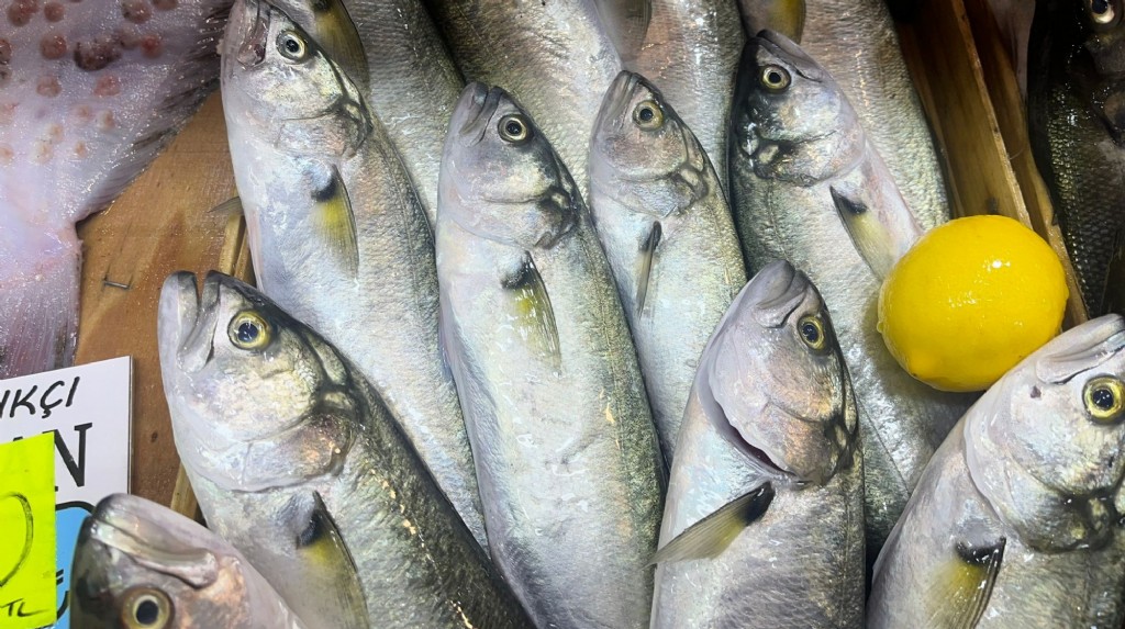 Hava Soğudu Çanakkale'de Balık Fiyatları arttı