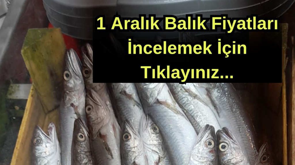 Çanakkale 1 Aralık Balık Fiyatları