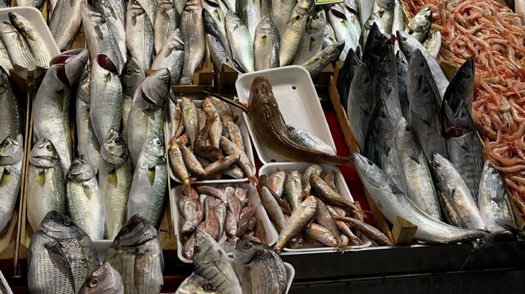 19 Ekim Çanakkale'de Balık Fiyatları
