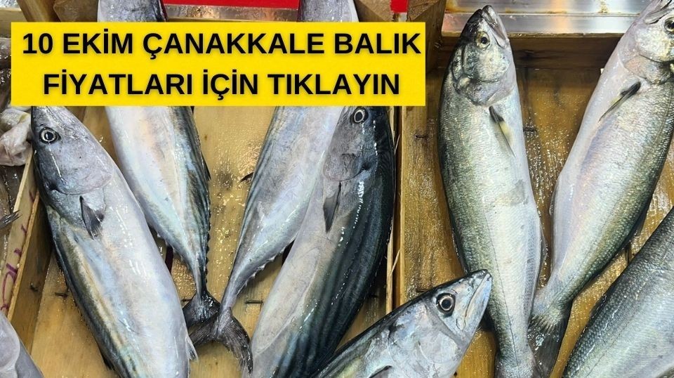 Çanakkale'de balık fiyatları