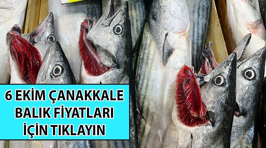 Çanakkale'de balık fiyatları işte böyle oldu!