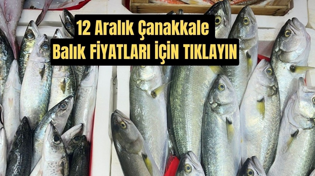 12 Aralık Çanakkale Balık Fiyatları
