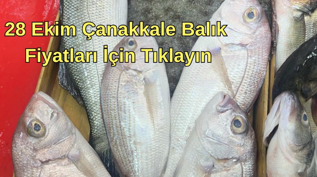 Çanakkale balık fiyatları