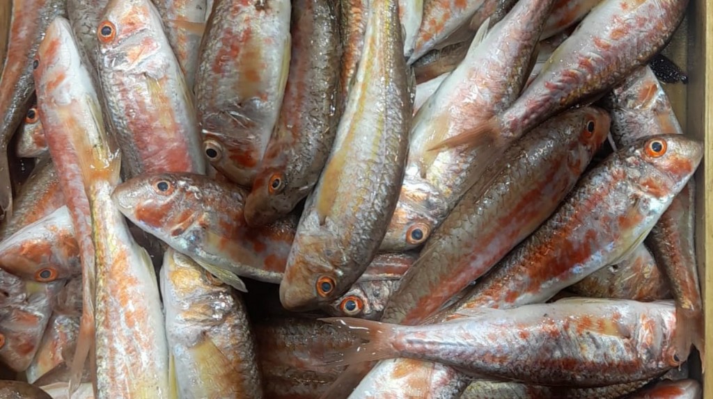 Çanakkale 22 Aralık Balık Fiyatları