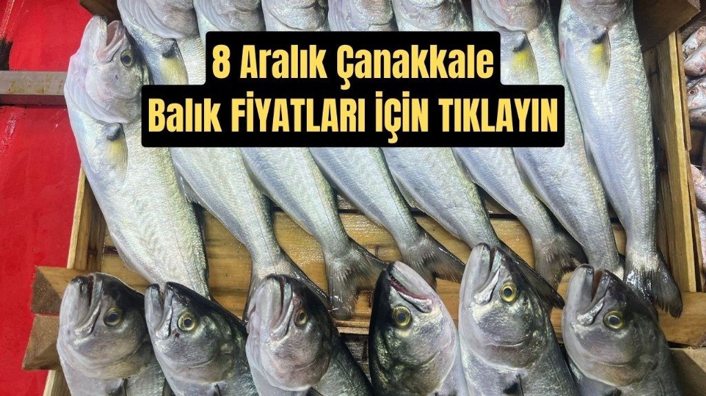 8 Aralık Çanakkale Balık Fiyatları