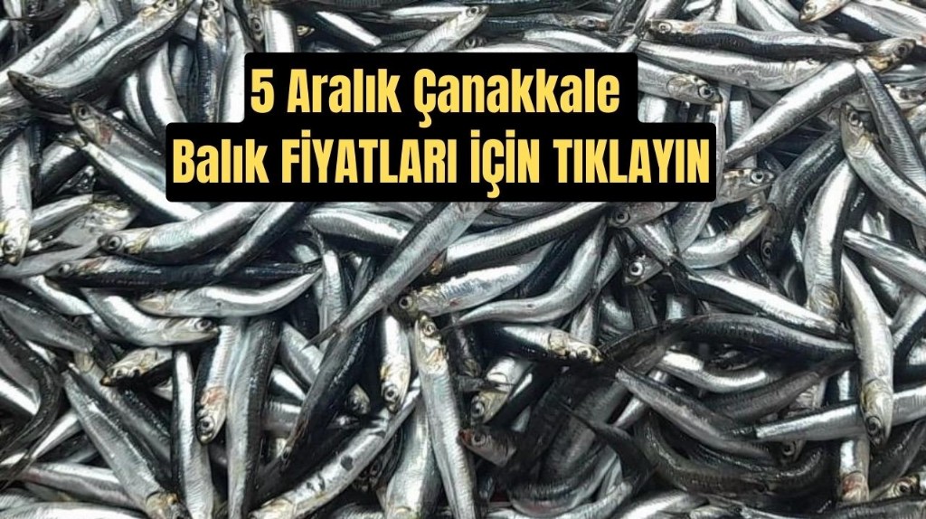 5 Aralık Balık Fiyatları