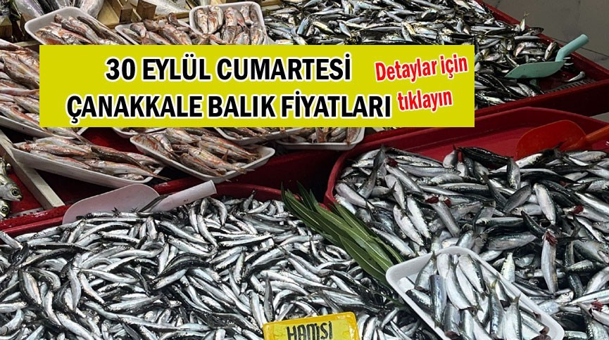 Çanakkale'de balık fiyatları 30 Eylül