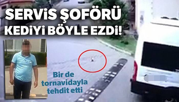 Servis şoförünün yavru kediyi ezme anı kamerada