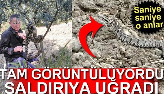 Saruhanlı'da görülen dev yılanlar korkuttu