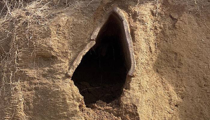 Bozcaada'da 1500 yıllık kiremit mezar ortaya çıktı (VİDEO)