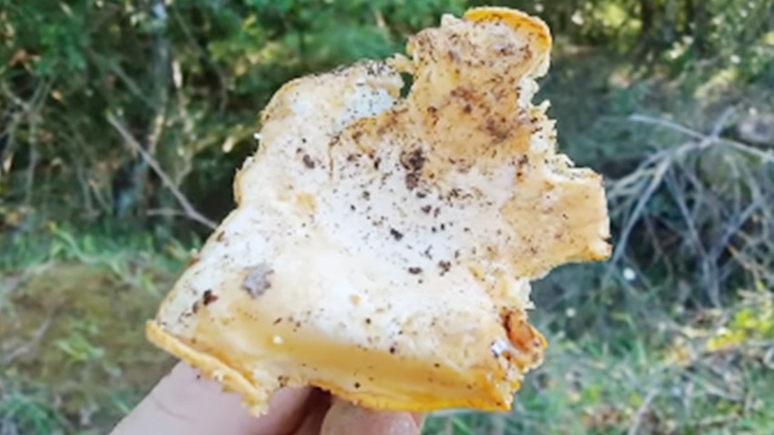 Doğanın Altın Hazinesi: Kazayağı Mantarı