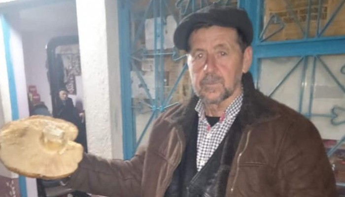 BİGA'DA 1 KİLO 100 GRAMLIK DEV MANTAR BULDU