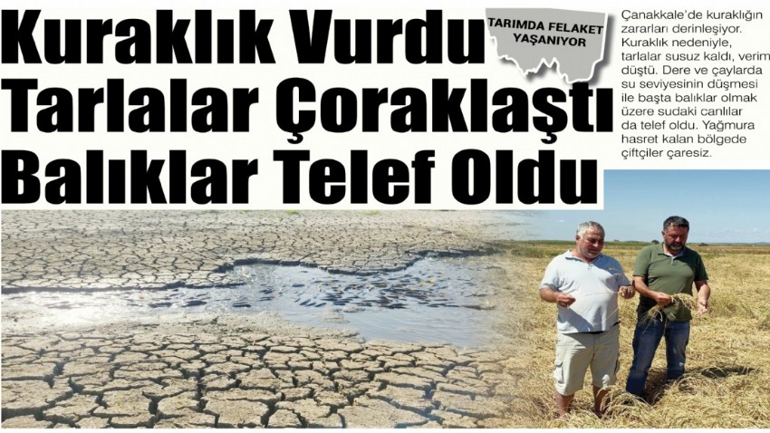 Kuraklık vurdu, tarlalar çoraklaştı, balıklar telef oldu