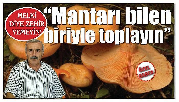 MELKİ DİYE ZEHİR YEMEYİN!   “Mantarı bilen biriyle toplayın”