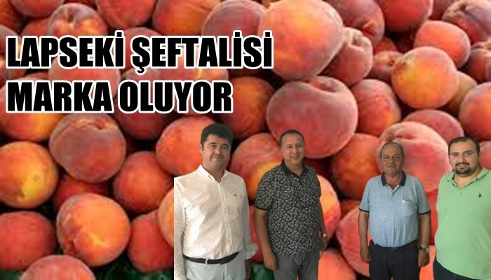 Lapseki şeftalisi marka oluyor