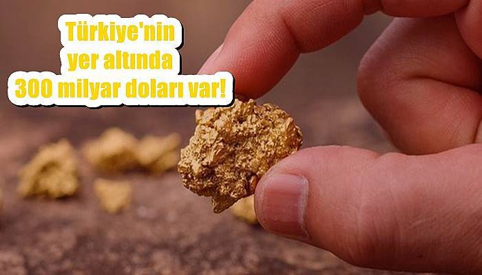 Türkiye'nin yer altında 300 milyar doları var!