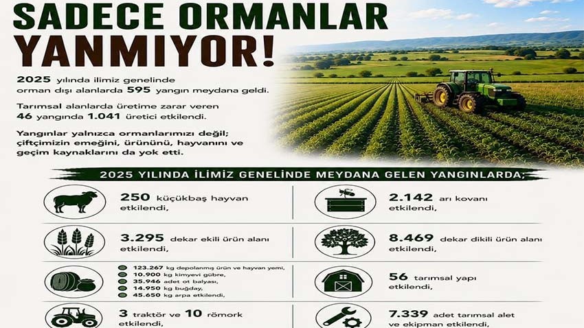 Orman Dışı Yangınların Tarımsal Zararı 484 Milyon TL'yi Aştı