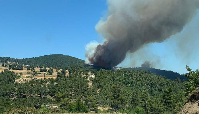 Çanakkale'de orman yangını 